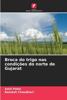 Broca do trigo nas condições do norte de Gujarat (Portuguese Edition)