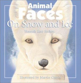 Hardcover Animal Faces on Snow and Ice Book