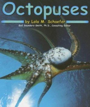 Octopuses (Pebble Books) - Book  of the Pebble Books: Ocean Life