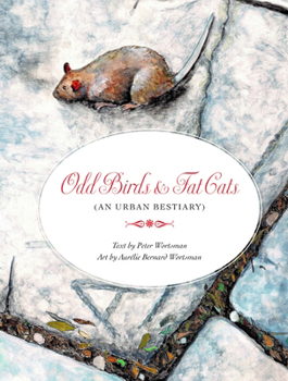 Hardcover Odd Birds & Fat Cats: (An Urban Bestiary) Book