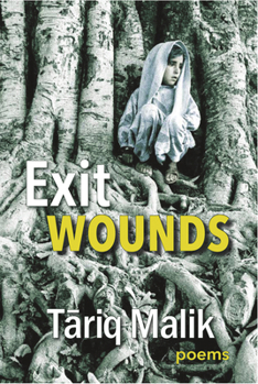 Paperback Exit Wounds Book