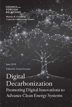 Paperback Digital Decarbonization: Promoting Digital Innovations to Advance Clean Energy Systems Book