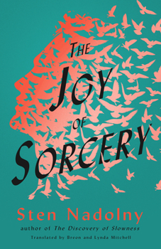 Paperback The Joy of Sorcery Book