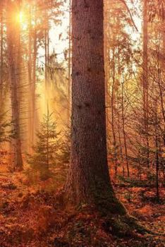 Paperback Autumn Notebook Book