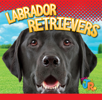 Paperback Labrador Retrievers Book