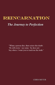 Paperback Reincarnation: The Journey to Perfection Book