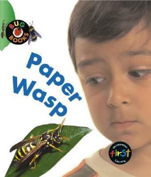 Hardcover Paper Wasp Book