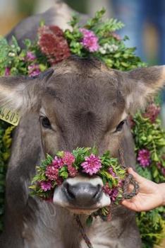 Paperback A Flower-Bedecked Cow inn Appenzellerland Switzerland: 150 Page Lined Notebook/Diary Book