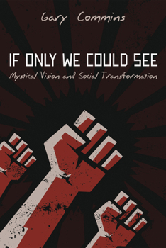 Paperback If Only We Could See: Mystical Vision and Social Transformation Book