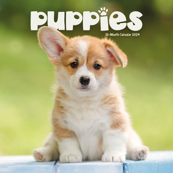 Calendar 2025 Puppies Mini calendar: Plastic Free Packaging Book
