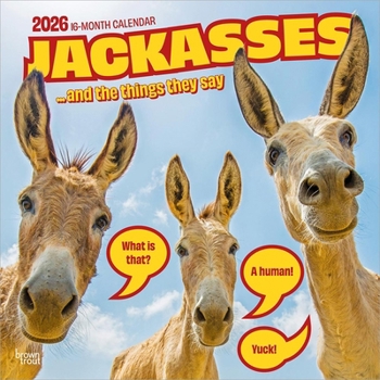 Jackasses 2026 12 X 24 Inch (Hanging) Monthly Square Wall Calendar Plastic-Free