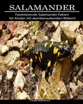 Paperback Salamander: Faszinierende Salamander Fakten f?r Kinder mit atemberaubenden Bildern! [German] Book