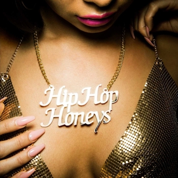 Hardcover Hip Hop Honeys Book