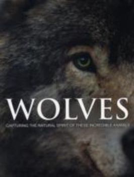 Hardcover Spirit of Wolves Book