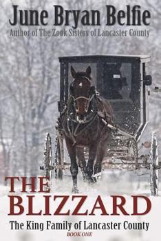 Paperback The Blizzard Book