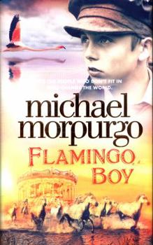 Hardcover Flamingo Boy Book