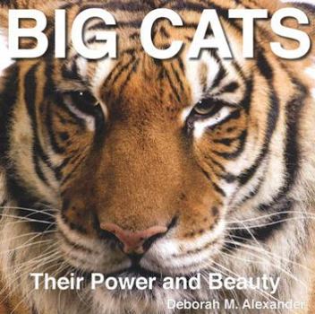 Hardcover Big Cats: Their Power and Beauty Book