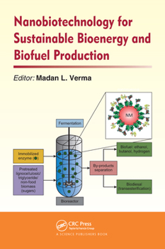 Paperback Nanobiotechnology for Sustainable Bioenergy and Biofuel Production Book