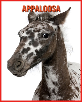 Appaloosa: Immagini incredibili e fatti sui Appaloosa