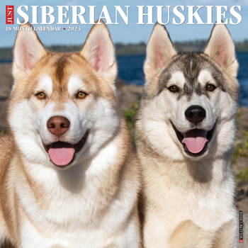 Calendar Just Siberian Huskies 2023 Wall Calendar Book