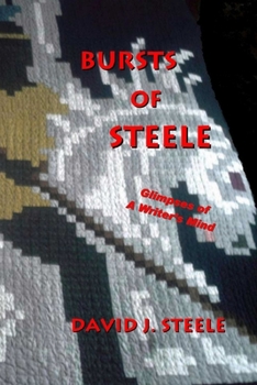 Paperback Bursts of Steele Book
