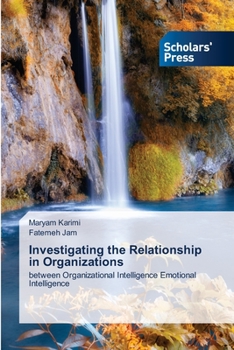 Paperback Investigating the Relationship in Organizations Book