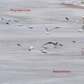 Paperback Ring-billed Gulls Book