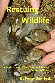 Rescuing Wildlife: A Guide to Helping Injured and Orphaned Animals