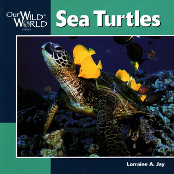 Paperback Sea Turtles Book