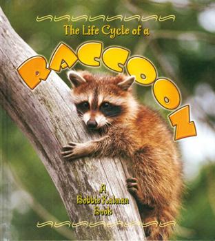 Paperback The Life Cycle of a Raccoon Book