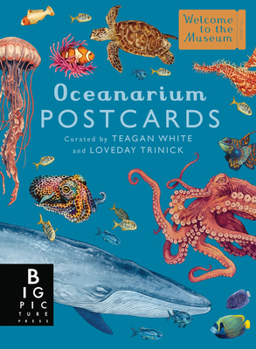 Cards Oceanarium Postcard Box Set Book