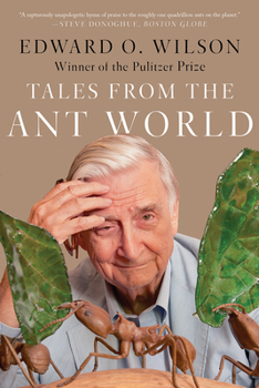 Paperback Tales from the Ant World Book