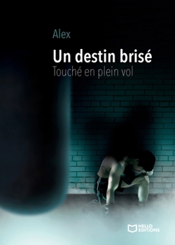 Paperback Un destin brisé - Touché en plein vol [French] Book