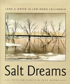 Paperback Salt Dreams: Land and Water in Low-Down California Book
