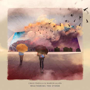 Music - CD Weathering The Storm Book