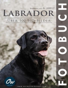 Labrador: Fotobuch - Über 100 HD-Bilder (German Edition)