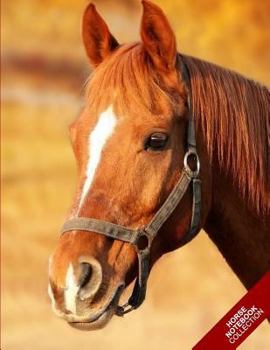 Horse Notebook Collection : (Horse Notebook, Journal, Diary) (Notebook Gifts) Collect Them All