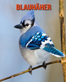 Blauh?her: Erstaunliche Fakten & Bilder