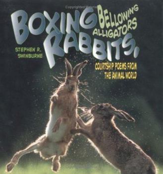 Library Binding Boxing Rabbits, Bellowing Alligators: Courtship Poems from the Animal World Book