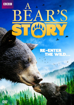 DVD A Bear Story: Spirit's Adventure Book