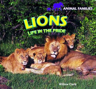 Paperback Lions: Life in the Pride Book