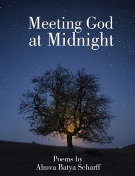Paperback Meeting God at Midnight Book