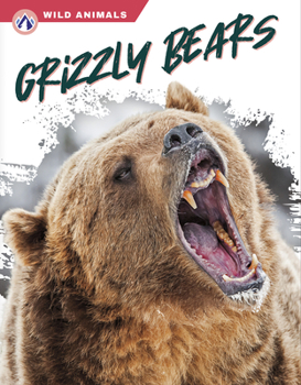 Library Binding Grizzly Bears Book