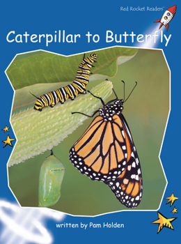Caterpillar to Butterfly - Book  of the Red Rocket Readers