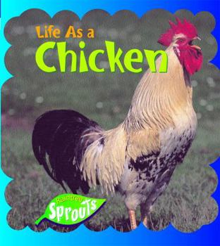 Paperback Life As a Chicken (Life As Series) Book
