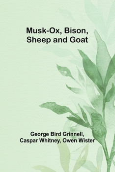 Paperback Musk-Ox, Bison, Sheep and Goat Book