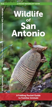 San Antonio Wildlife: A Folding Pocket Guide to Familiar Animals