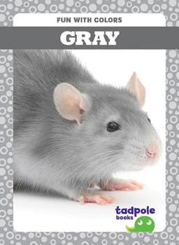 Paperback Gray Book