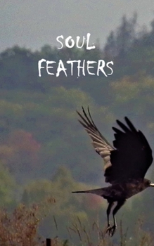 Paperback Soul Feathers Book