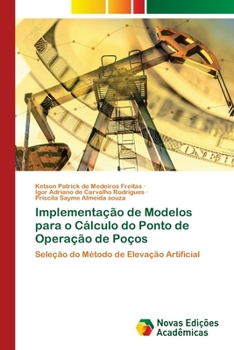 Paperback Implementação de Modelos para o Cálculo do Ponto de Operação de Poços [Portuguese] Book